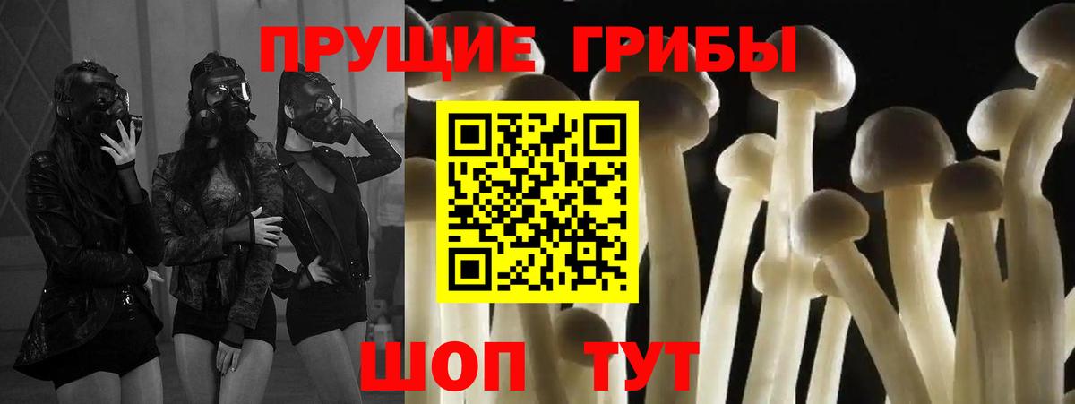 Псилоцибиновые грибы прущие грибы  Вход с VPN  Щёлково  Галлюциногенные грибы MAGIC MUSHROOMS 